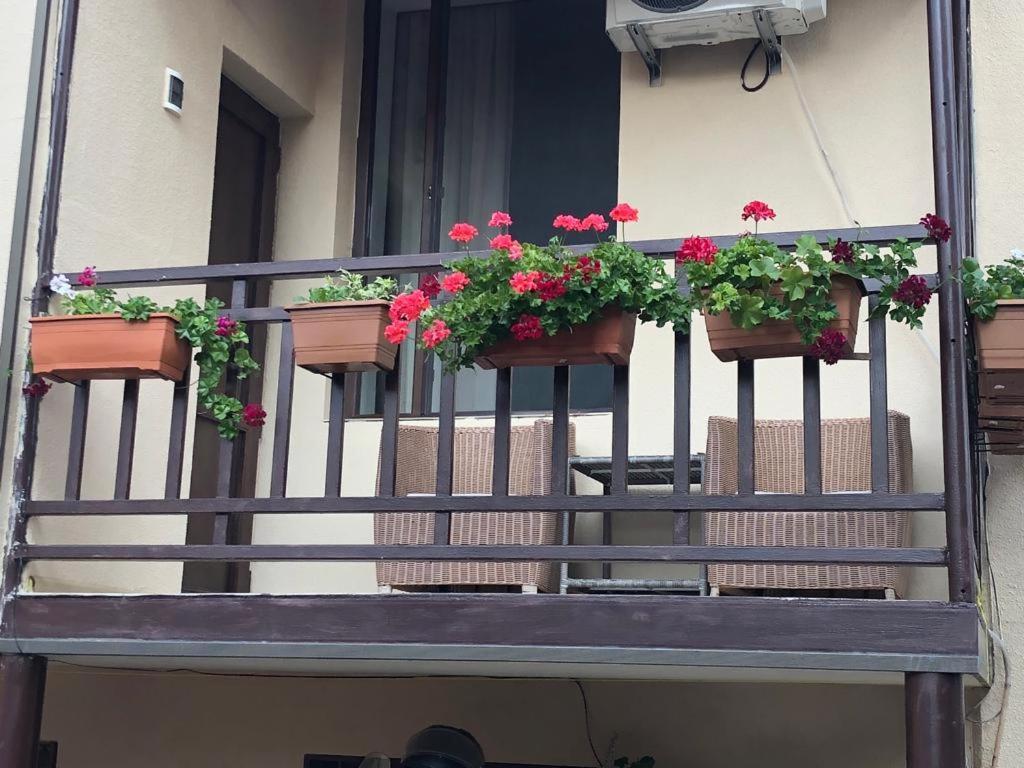 Tinikos Guest House เทลาวี ภายนอก รูปภาพ