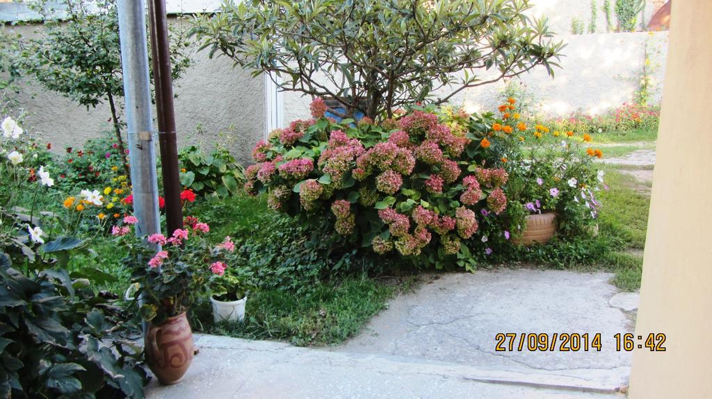 Tinikos Guest House เทลาวี ภายนอก รูปภาพ