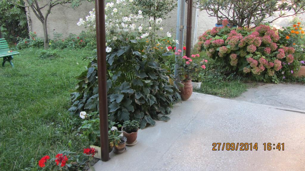 Tinikos Guest House เทลาวี ภายนอก รูปภาพ